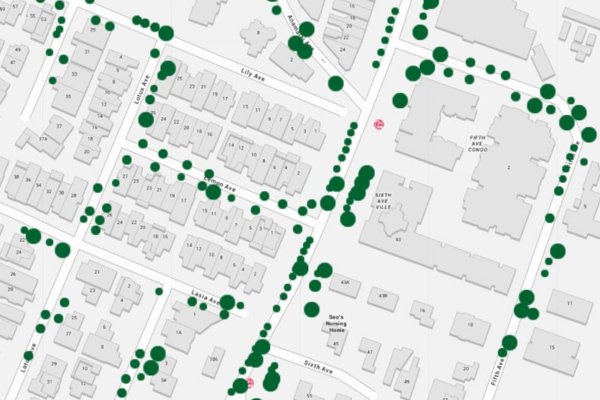 TreesSG comes with an interactive map and information on tree trails for you to embark on.